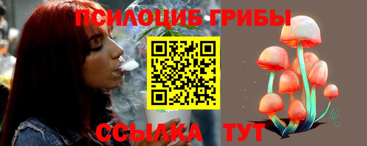 Павлово  Галлюциногенные грибы MAGIC MUSHROOMS  Вход с VPN 